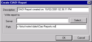 Create Report Window